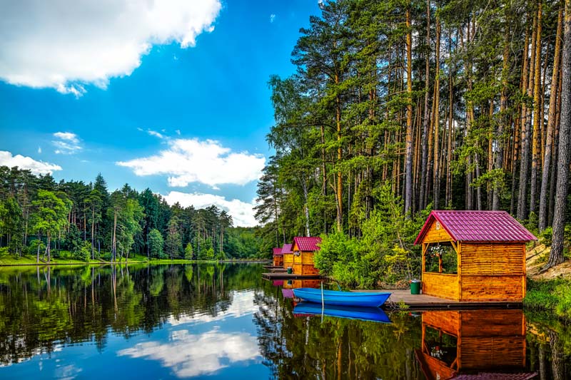 selection-header