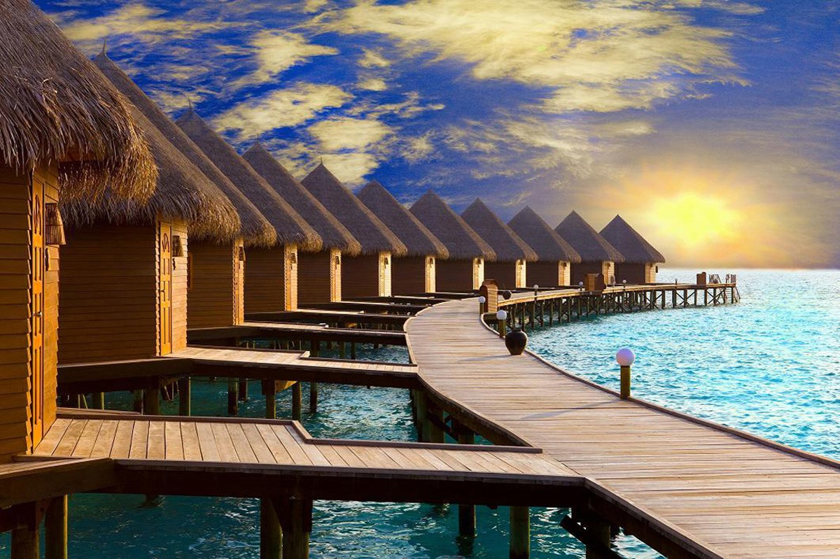 selection-header
