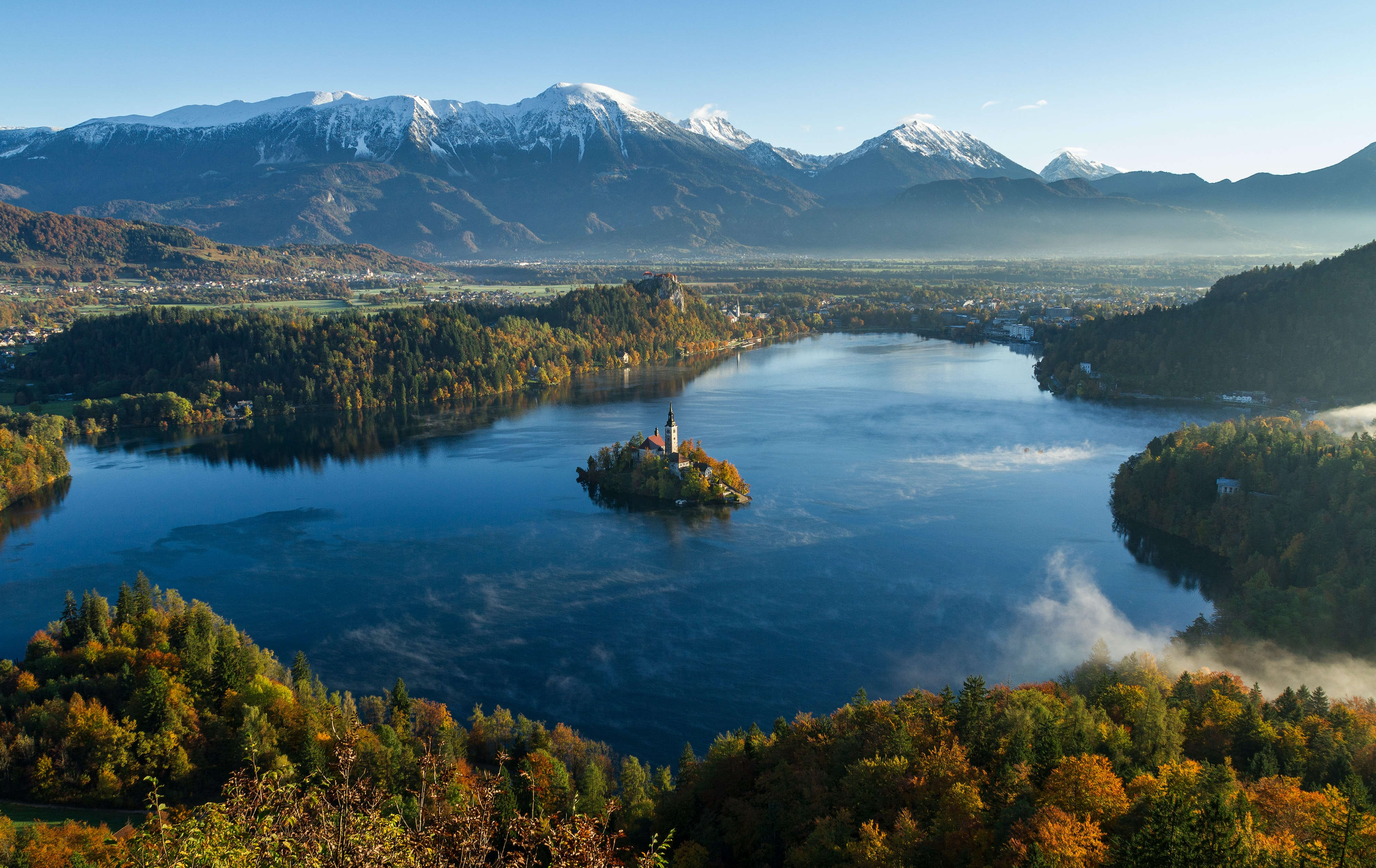 selection-header