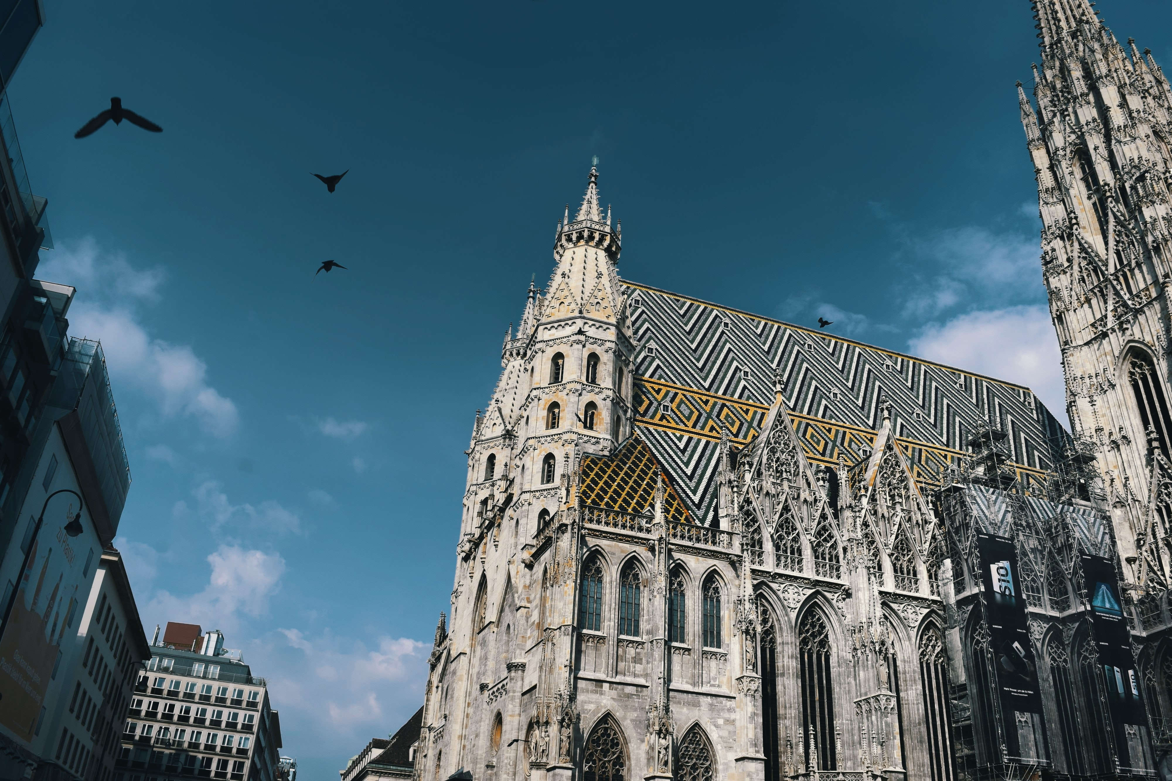 selection-header