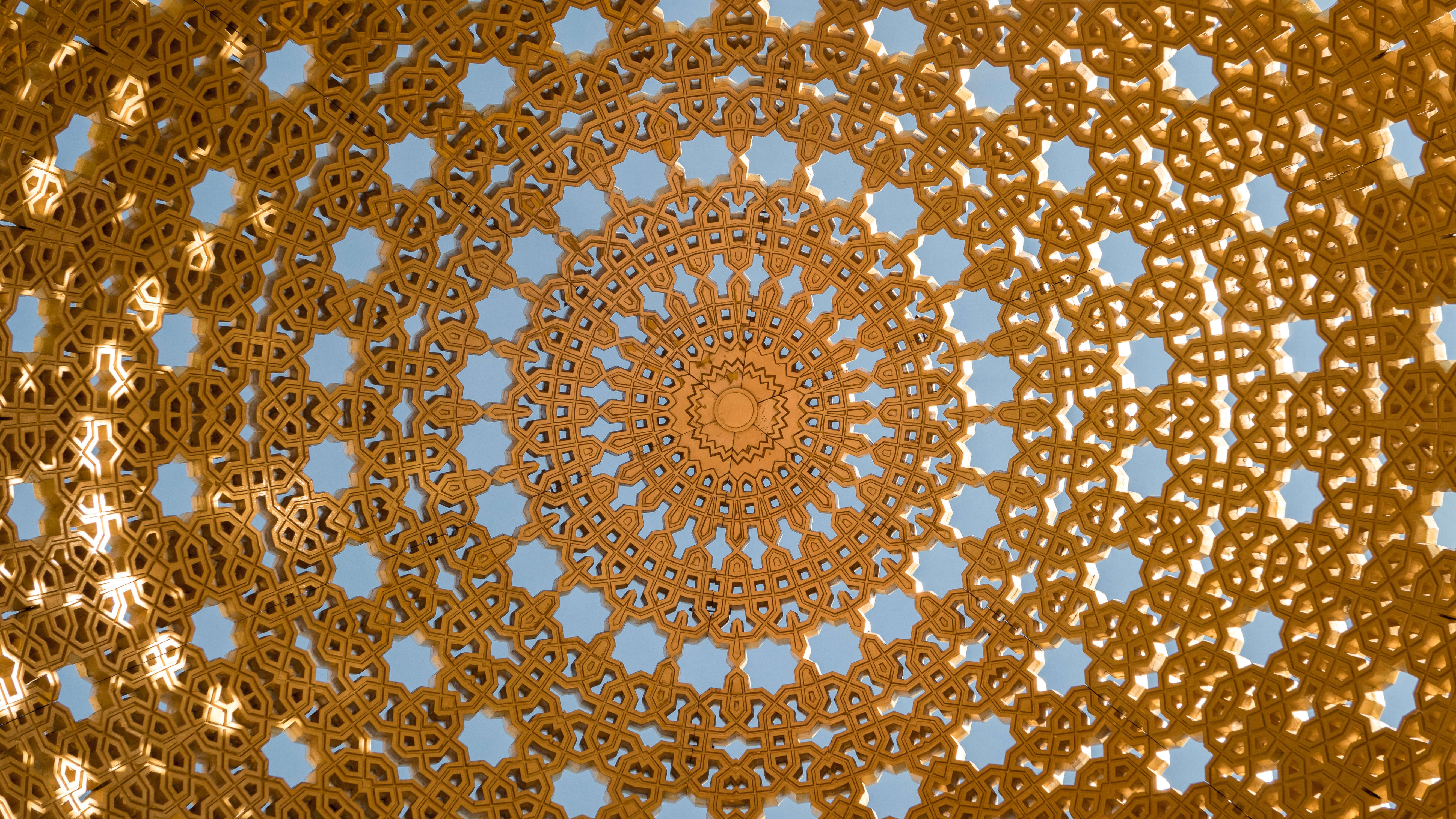 selection-header
