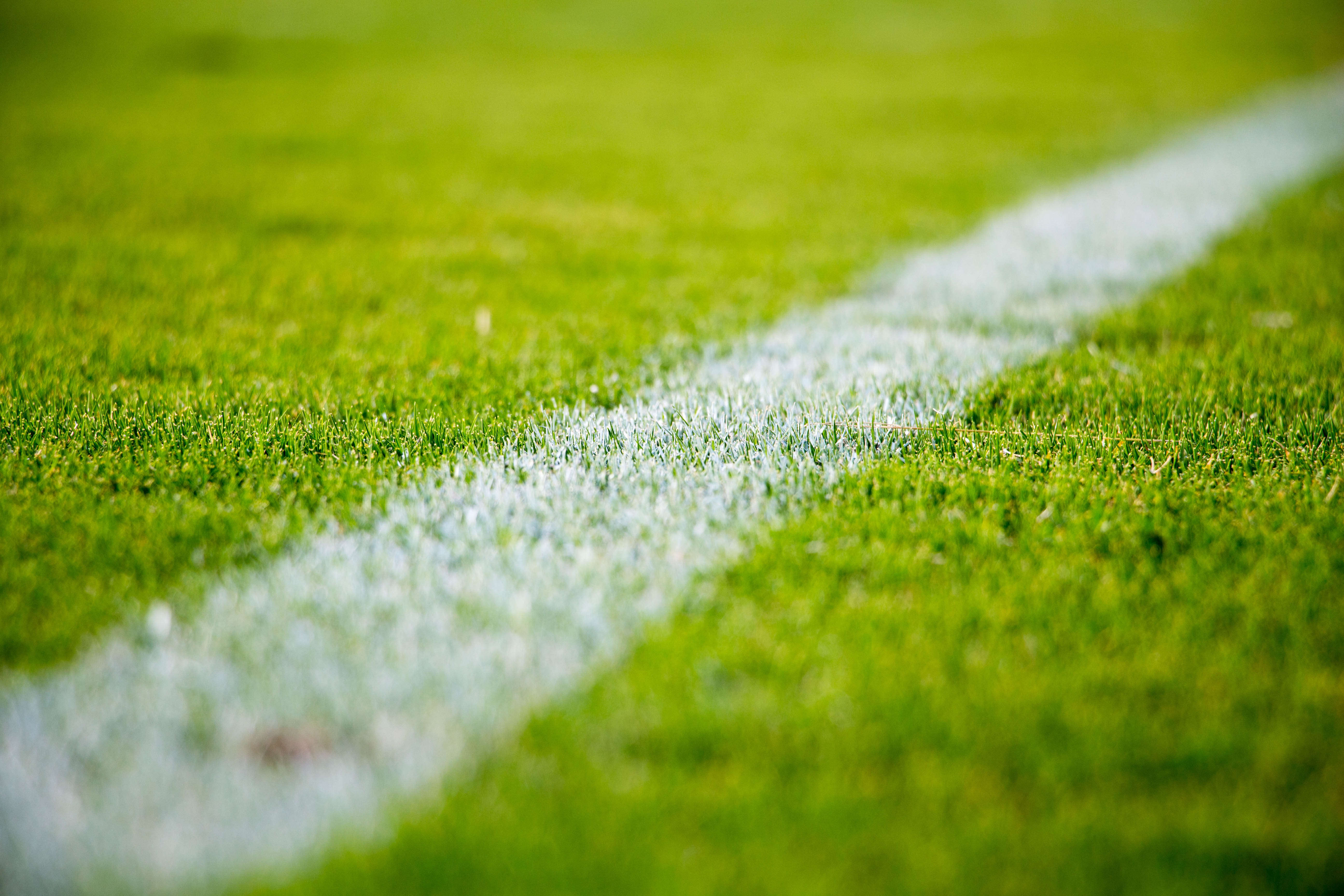 selection-header